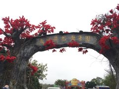 -天适樱花悠乐园