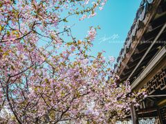 -江宁织造博物馆