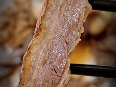 -日日香卤鹅饭店·澄海狮头鹅(澄海店)