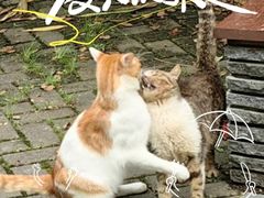 -上海海事大学(临港校区)