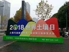 -南京国际博览中心酒店