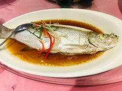 -复旦大学本部-食堂