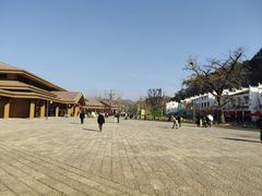 -千年银杏谷文化旅游区