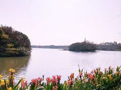 -海珠湖公园