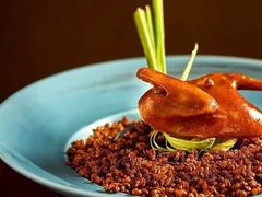 -南堂馆·新川菜(春熙路店)