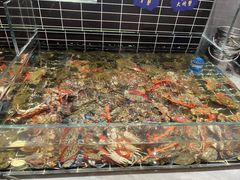 -海玥荟海鲜姿造自助餐厅(欧罗巴广场店)