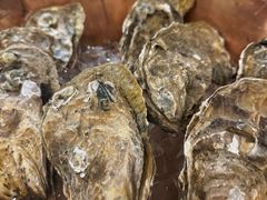 -北京北辰洲际酒店啡扬咖啡厅·自助餐厅