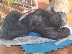 -荆州中山公园动物园