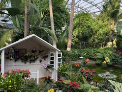 -北京植物园-展览温室