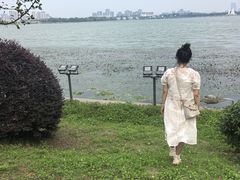 -金鸡湖桃花岛