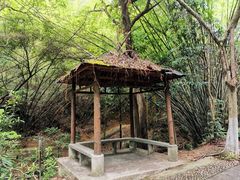 -滴水岩森林公园