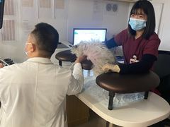 -艾贝尔宠物医院 ·中兽医·宠保定点(北门桥店)