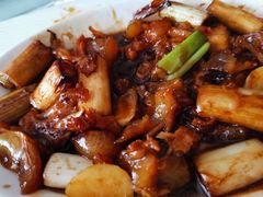 -高玛纳驴肉火烧(河间总店)