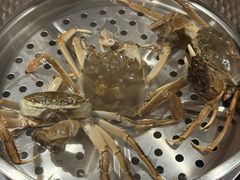 -加餐海鲜自助(宝龙一城店)