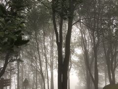 -广州市帽峰山景区