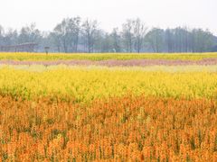 -中国天府农业博览园