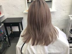 -SALON V