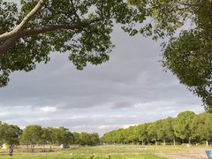 -上海都市菜园