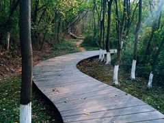 -盘龙城国家考古遗址公园