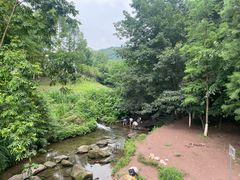 -重庆彩云湖湿地公园