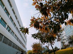 -青岛大学(金家岭校区)