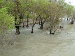 -苏州吴中太湖旅游区