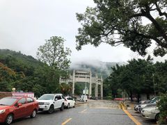 -大自然素食(望桐路店)