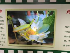 -上海昆虫博物馆