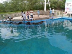 -北戴河圣蓝海洋公园