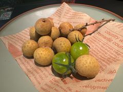 -季季山•云南野生菌火锅(上海首店)