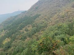 -北京十三陵国家森林公园蟒山景区