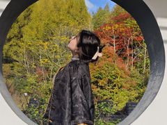 -五女峰国家森林公园