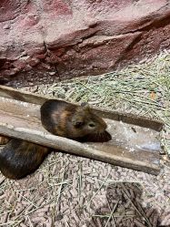 -Zoolung Zoolung动物主题公园(海信广场店)