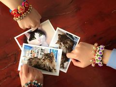 Anne猫窝咖啡屋-Anne猫窝咖啡屋