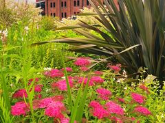 -横滨红砖仓库1号馆