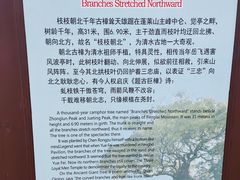 -安溪清水岩