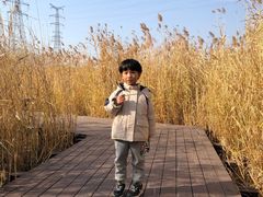 -永定河休闲森林公园