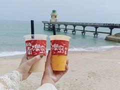 -南澳岛打卡果汁冰公司