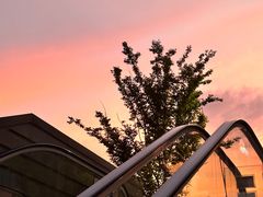 -中原一大碗(湖滨店)