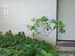-花迹(富春江东街店)