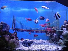 -太平洋海底世界