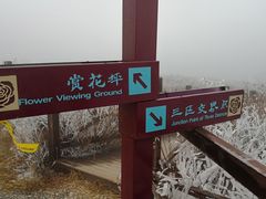 -阳台山自然风景区