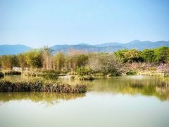 -天适樱花悠乐园