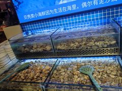 -芭菲盛宴·环球美食(北城国际店)