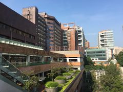 -香港大学