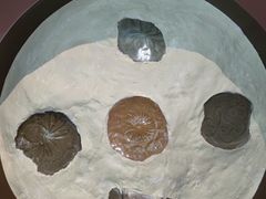 -四川宋瓷博物馆