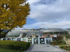 -北京植物园-展览温室