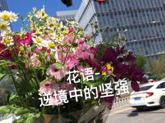 -爱尚幸福鲜花(上地实体店)