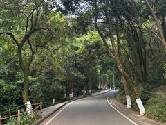 -火炉山森林公园