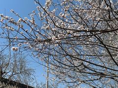 -碑林公园